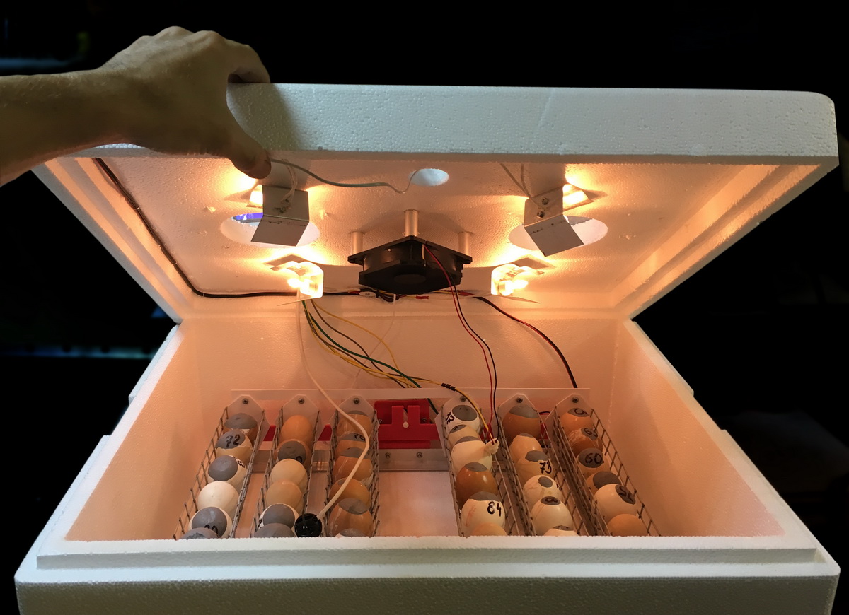 Инкубатор без света. Инкубатор FLORAFLEX incubator Kit. FK 64 инкубатор. Инкубатор для яиц автоматический 12 вольт. Инкубаторы MC 32.
