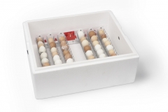 Incubator for eggs Br-Box 50