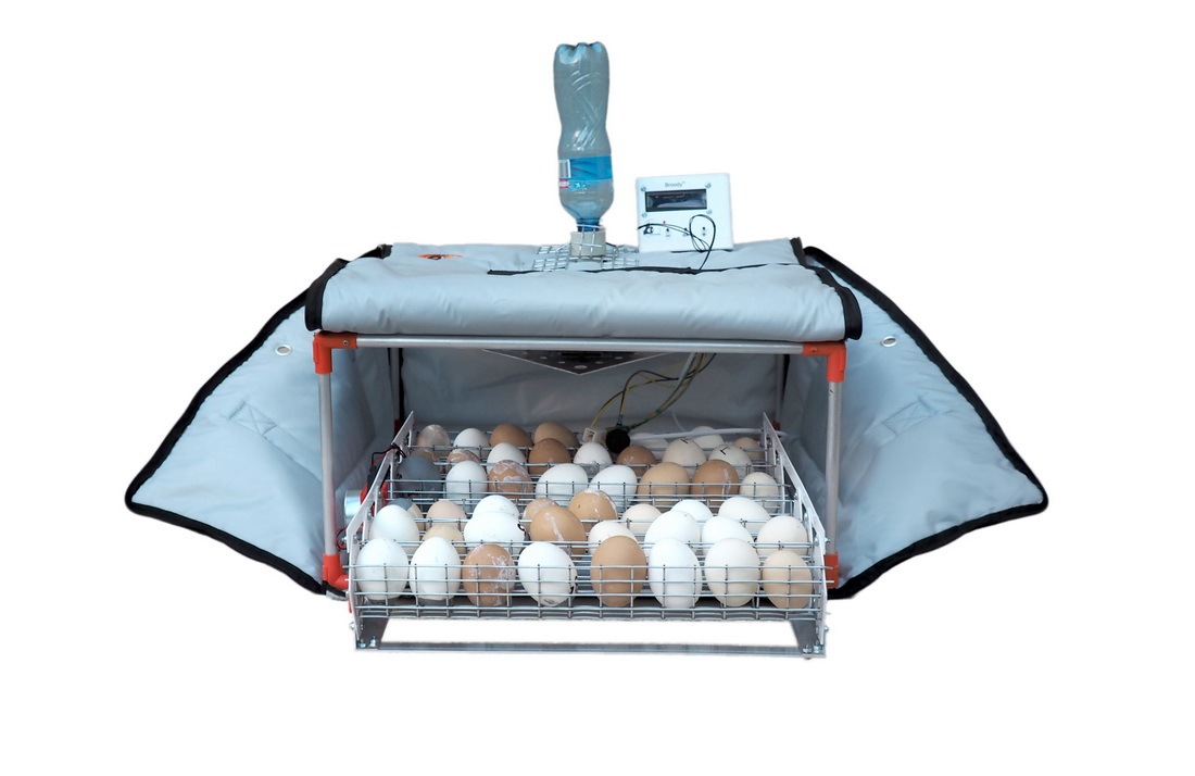 Egg incubator Broody Micro Battery 50 Nozzles