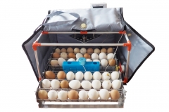 Incubadora de huevos Broody Micro Battery