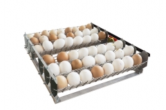 Αυλή επώασης αυγών Broody Micro Battery