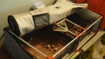 Incubation of quail eggs in the office
