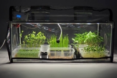 Germinator of microgreens GreenCap L - The best indoor greenhouses