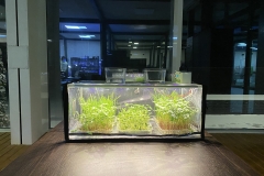 greencap_plant_grow_lights_007_indoor