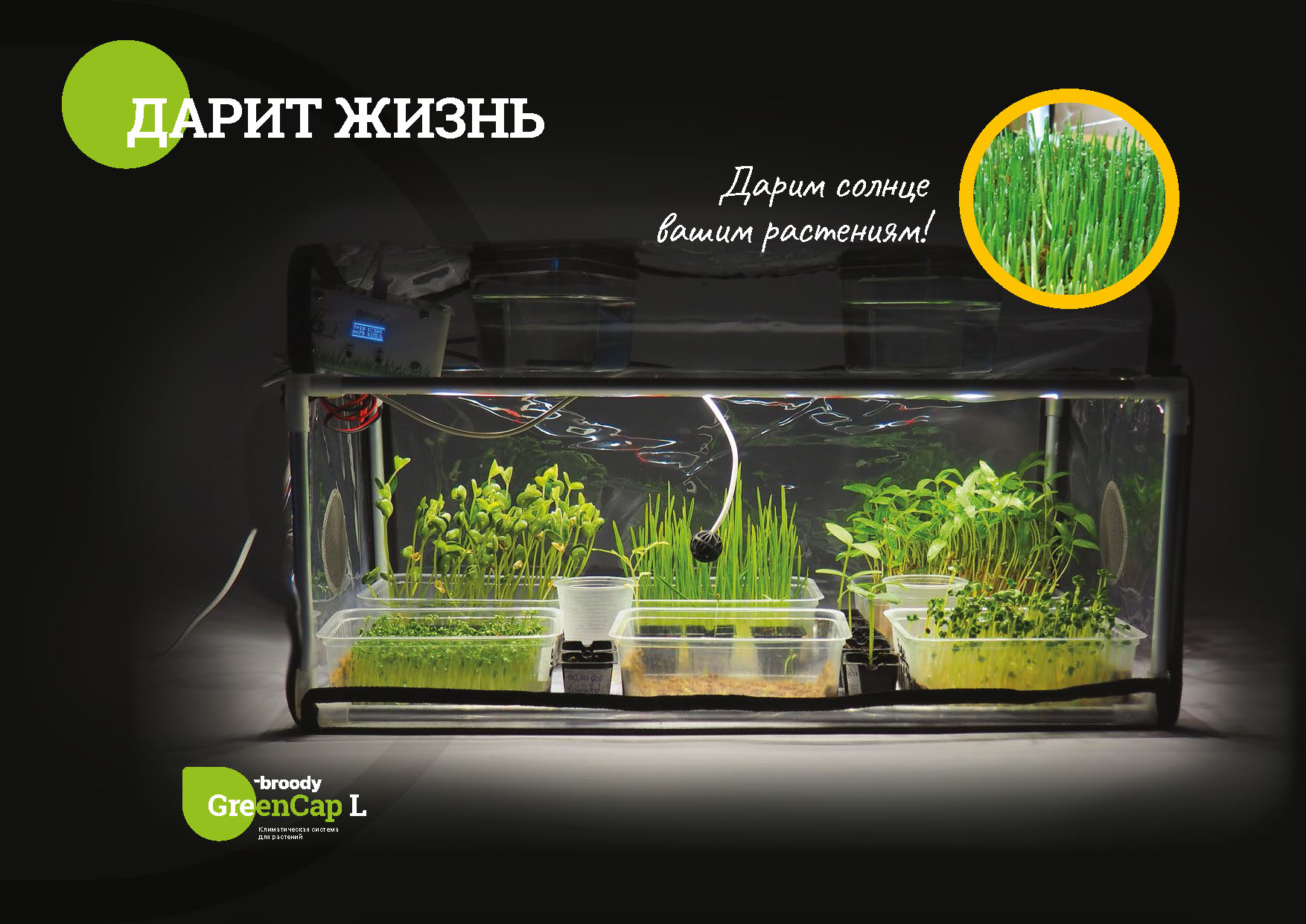 Plant propagator with light