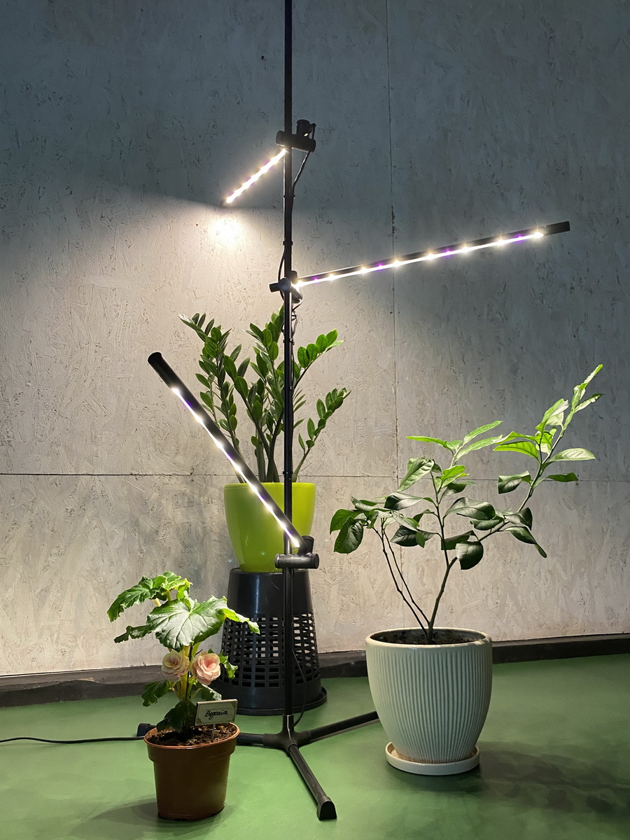 Plant deals floor lamp