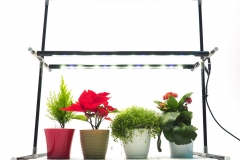Plant lighting system