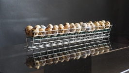 Oceń Egg Inkubator Broody Powiększanie