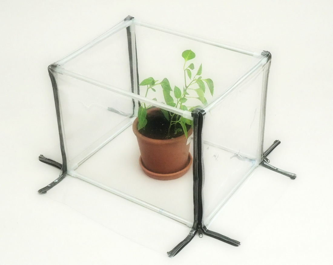 Mini greenhouse for the apartment