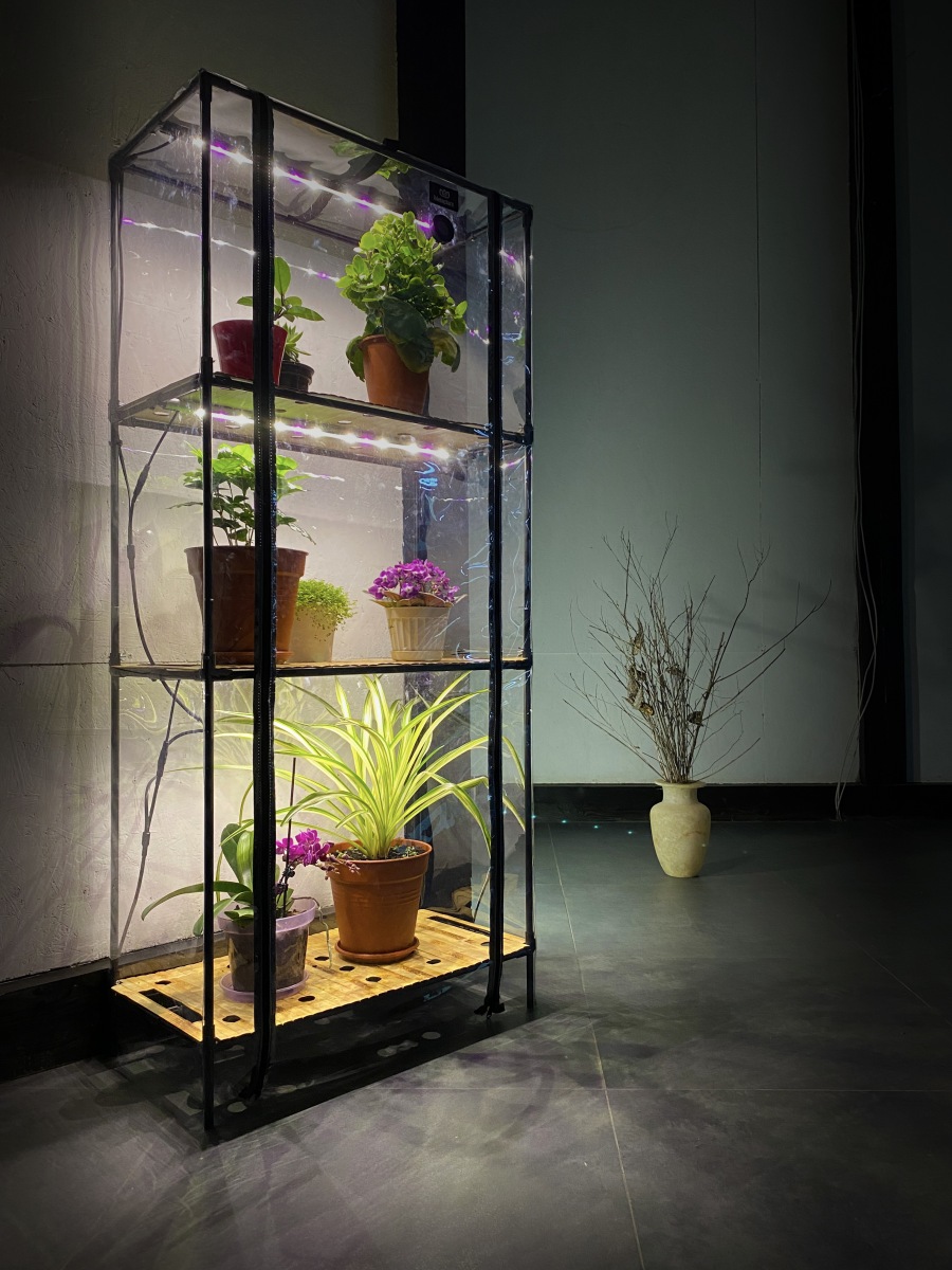 Mini_greenhouse decorate your home interior_