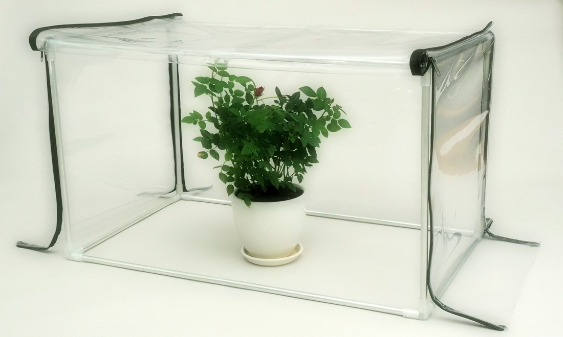 Mini-greenhouse for the apartment, mini greenhouse for the house