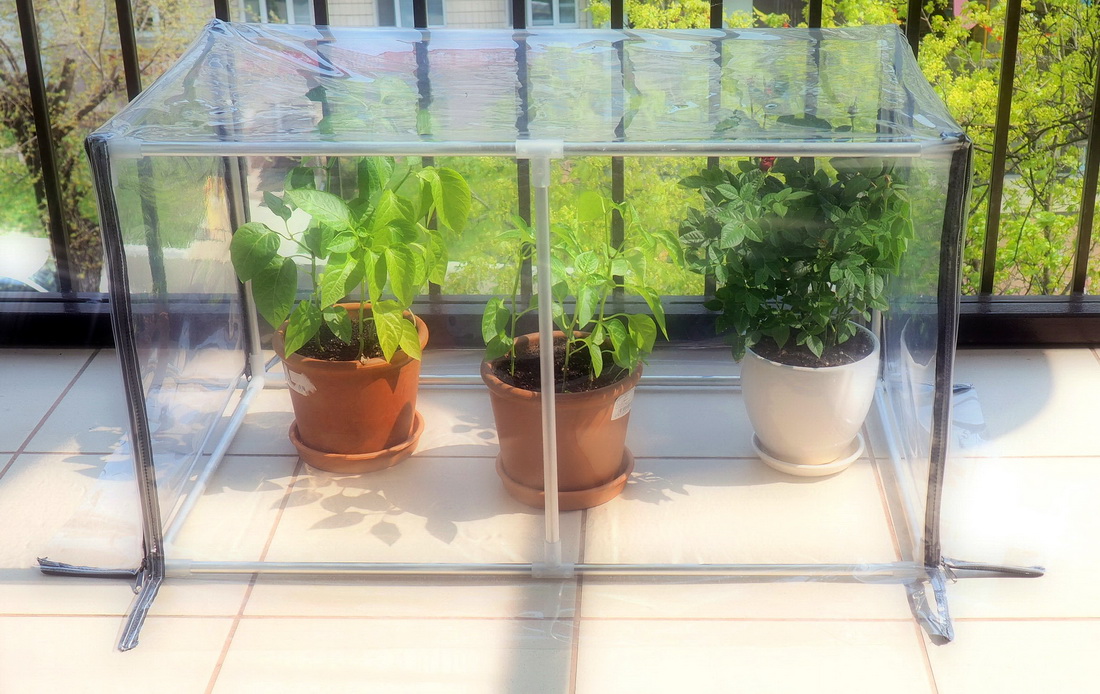 Mini-greenhouse for the apartment, mini greenhouse for the house