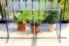 Mini-greenhouse for the house