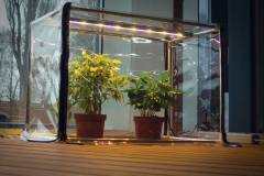 Sezam_L_greenhouse