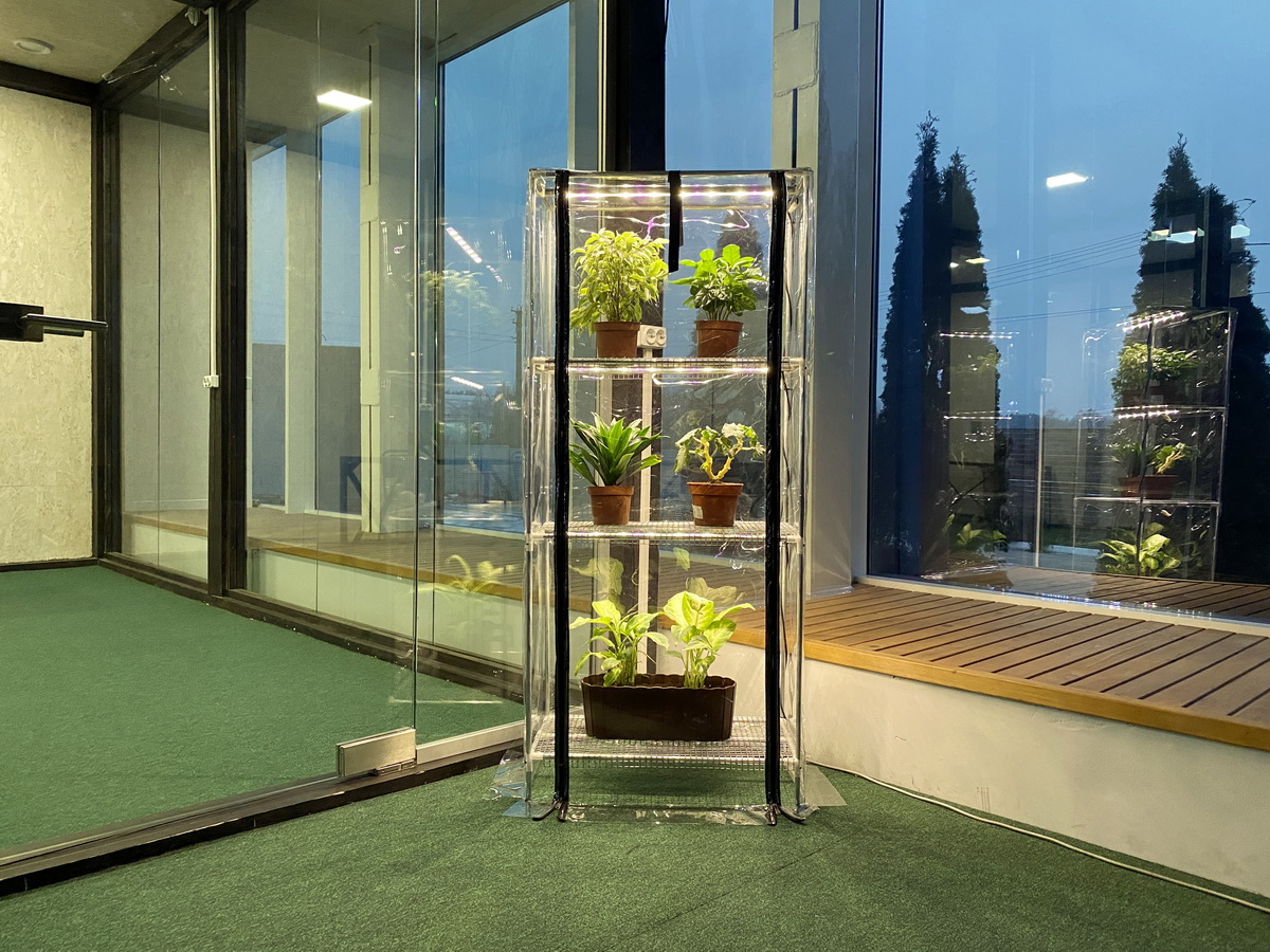 indoor greenhouse with lights