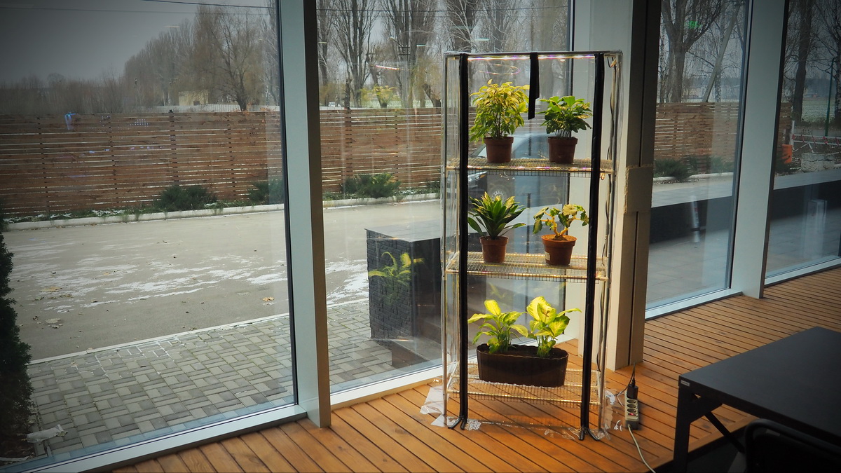 indoor greenhouse with lights