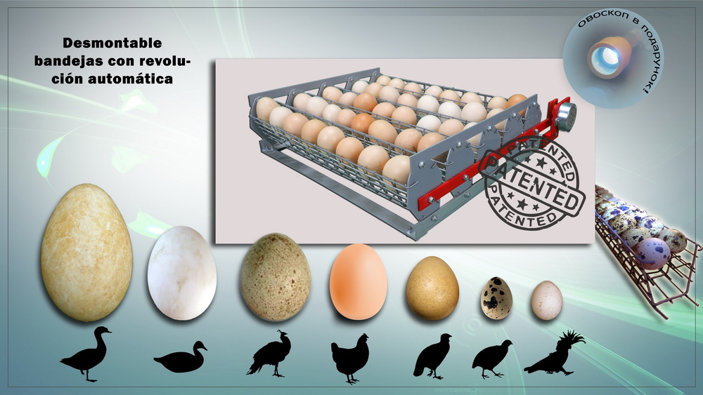 Bandejas extraíbles huevos de golpe de estado automáticas con casetes
