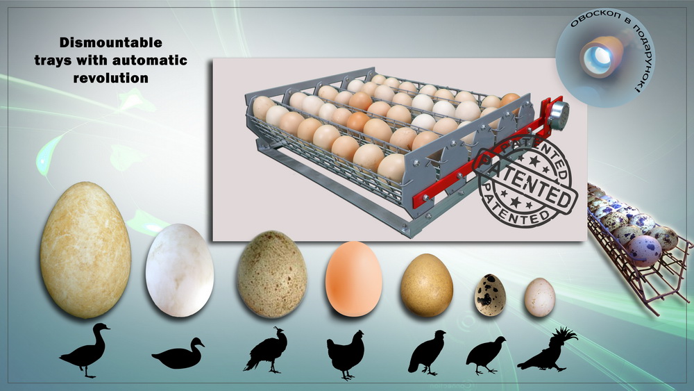 Removable automatic egg tray with cassettes