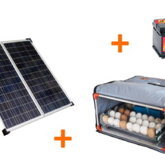 Incubator on solar batteries