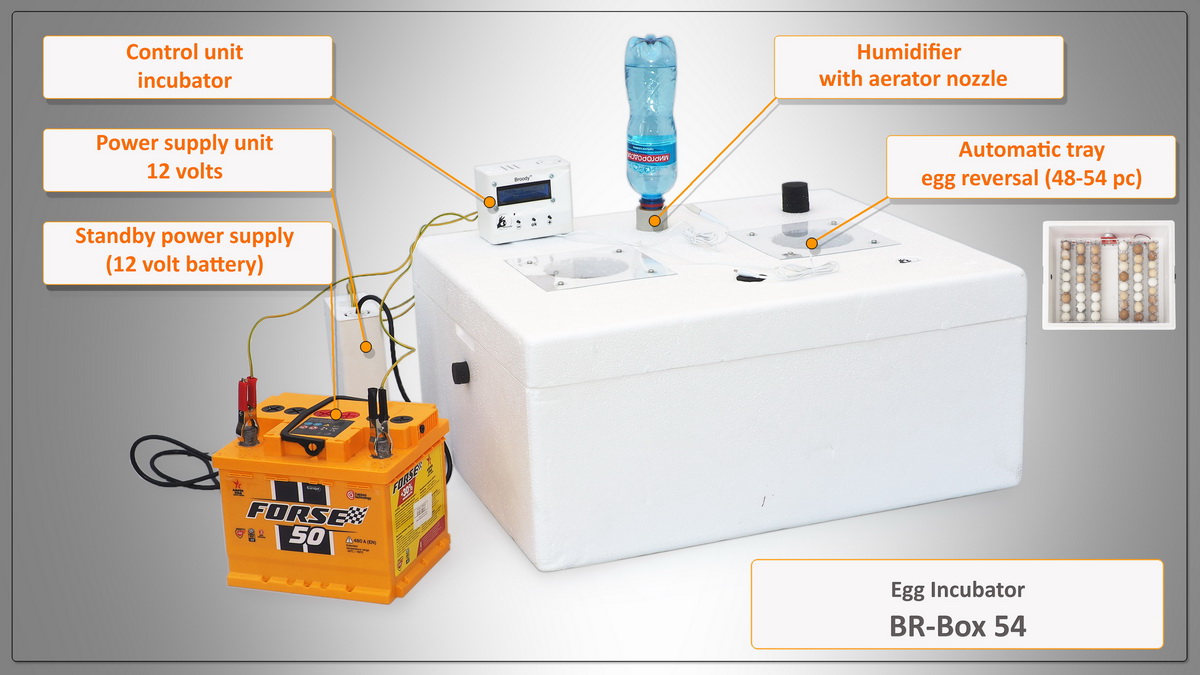 Br-Box 54 Br-Box 54 - the new Br-Box series (54 eggs) incubator, characterized by a traditional foam plastic body and a lamp unit for heating.